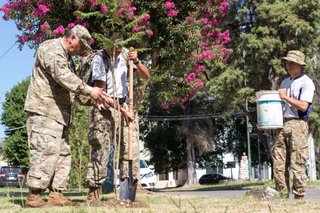 Se plantarán entre 600 y 800 árboles en el macro y microcentro salteño