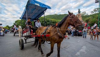Analizan opciones para los carreros