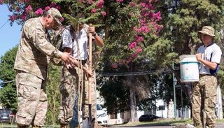 Multas de entre 2 mil y 20 mil pesos por podas ilegales en Salta