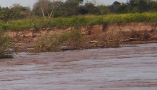 Buscan a un policía que desapareció en las aguas del río Bermejo