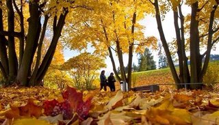Hoy comienza un nuevo otoño