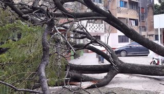 Fuerte viento huracanado azotó San Pedro de Jujuy