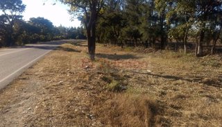 Encontraron un hombre sin vida en ruta 53
