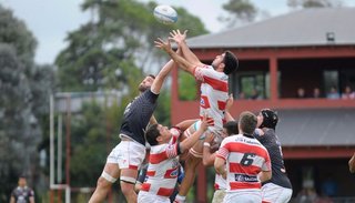 Universitario y Jockey no pueden ceder más terreno en el Súper 10