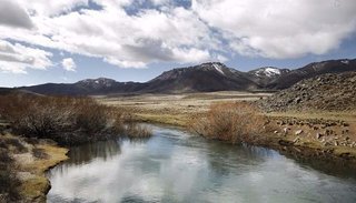 Caso Maldonado: analizan una posible pista en la orilla del río Chubut